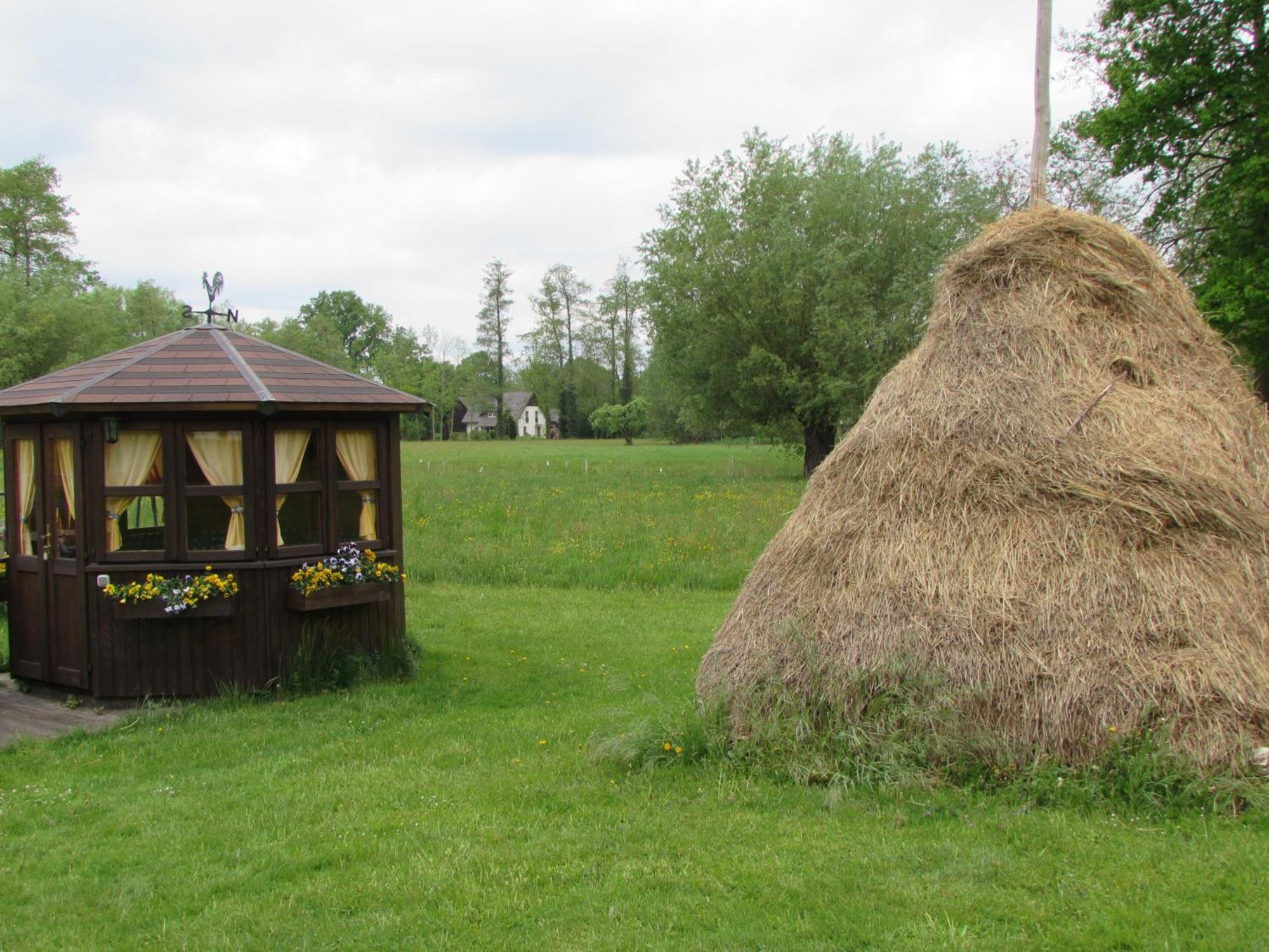 Ferienwohnung Zum Heuschober Burg  Buitenkant foto